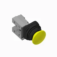 Allen Bradley 800H-DR9AY
