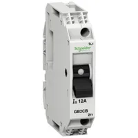 Schneider Electric GB2CB21