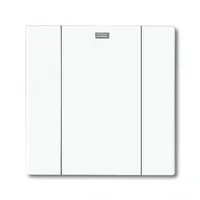Busch-Jaeger 6125-84-101