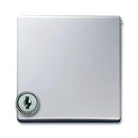 Busch-Jaeger 2118 GKSL-33