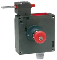 Euchner TZ2LE024SR11-C1815