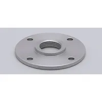 Ifm Electronic FLANGE PLATE  65-80/G3/4