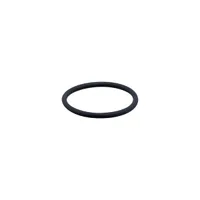 IFM FKM VITON O-RING