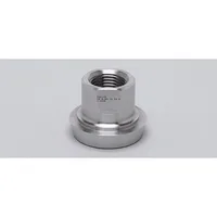 Ifm Electronic ADAPT G1/2-DIN11851 DN25