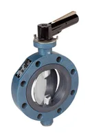 Ebro-Armaturen TW 80/TW 100