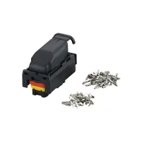 IFM ecomatDisplay/Plug/40 pin