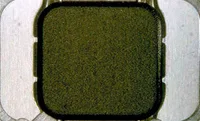 Infineon P-MCC8-2-6