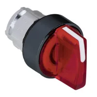 Schneider Electric ZB4BK13437