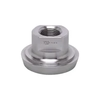 IFM ADAPT G1/2-DIN11851 DN40