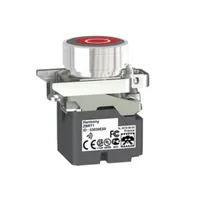 Schneider Electric ZB4RTA432