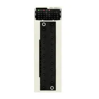 Schneider Electric BMXDDI1602