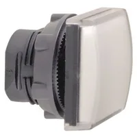 Schneider Electric ZB5CV013