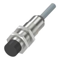 Balluff BIC 2I22-P2A02-M18MF2-EPX07-050