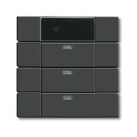 Busch-Jaeger 6129-85-101
