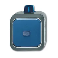 Busch-Jaeger 2601/6 WDI