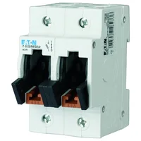 Eaton Electric Z-SLS/NEOZ/2