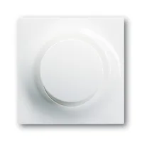 Busch-Jaeger 6543-74-101