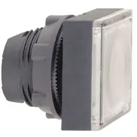 Schneider Electric ZB5CW313