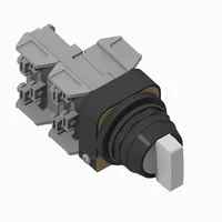 Allen Bradley 800H-2HRWH2KB6AA