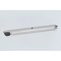 Stahl Schaltgeräte 6009/522-9617-1611-7 Notlichtleu. 2x18W