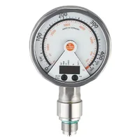 IFM PG-100-REB12-MFRKG/US/      /P