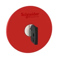 Schneider Electric ZB5AS964