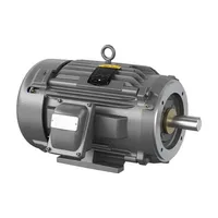 Baldor CCPX21366T