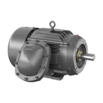 Baldor CCPX281566T