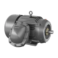 Baldor CCPX282526T