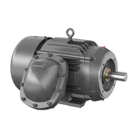 Baldor CCPX28266T