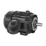 Baldor CCPX40666T