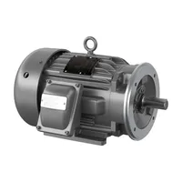 Baldor CDRX18524T
