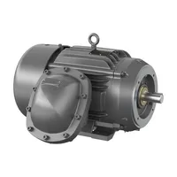 Baldor CDRX282524T-5