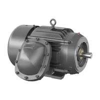 Baldor CDRX282524T