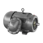 Baldor CDRX32524T-5