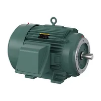 Baldor CECP4313T