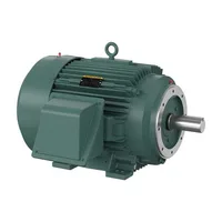 Baldor CECP4316T