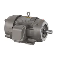 Baldor CECR9254T