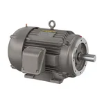Baldor CECR9504T
