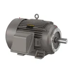 Baldor CECR9604T