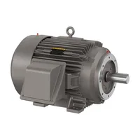 Baldor CECR9754T