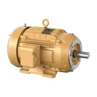 Baldor CEM2332T-G