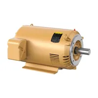 Baldor CEM2514T-G