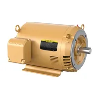 Baldor CEM2546T-G