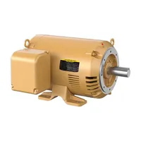 Baldor CEM2551T-G