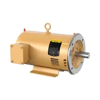 Baldor CEM3212T-G
