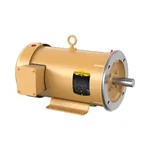 Baldor CEM3613T-G