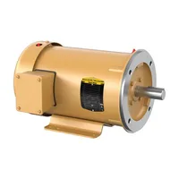 Baldor CEM3613T