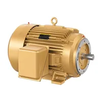 Baldor CEM4313T-G