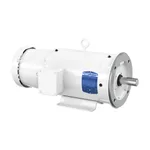 Baldor CEWDBM3611T
